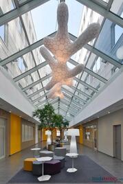 DBH Serviced Office Buda Square 5.jpeg