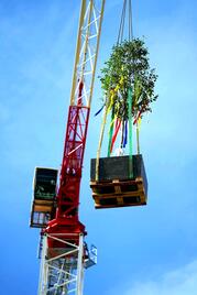 Property Market BudaPart_CITY_Bokreta_2.jpg