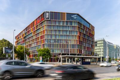 Wing Noah Steinberg3.jpg