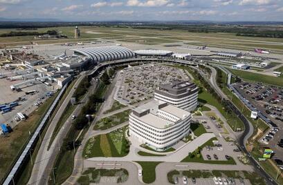 Wing NoahSteinberg4.jpg