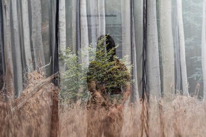 A WING építészettörténeti kiállítása nyerte az Art is Business kiemelt, „Vállalati művészeti projekt” díját