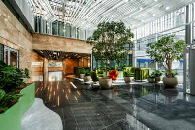 Alkotas Point_GAM_3.png