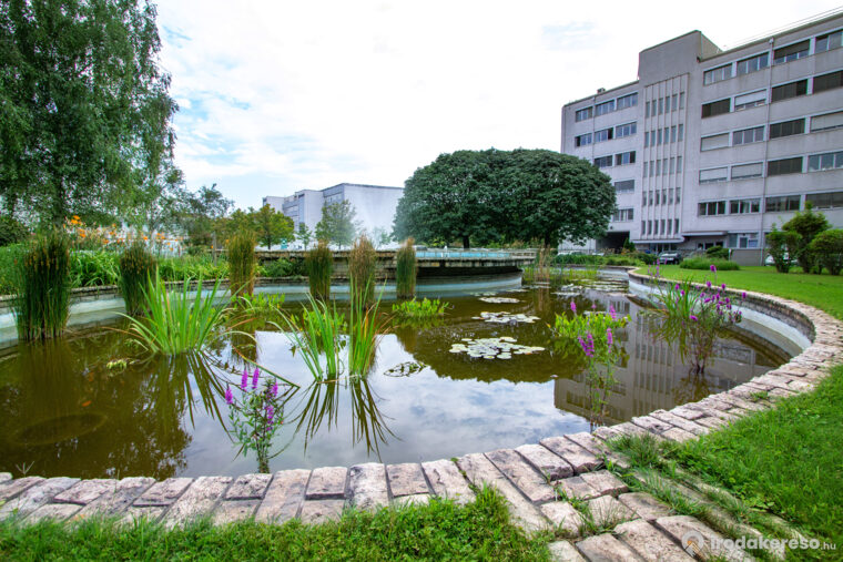 Kiadó iroda HOP Technology Office Park