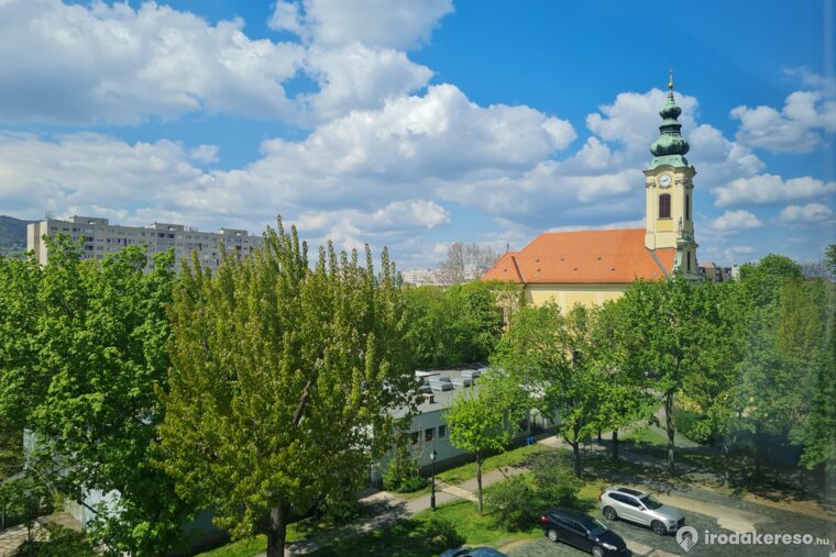 Környezet