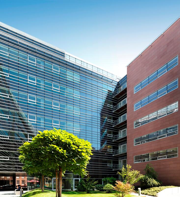 Megújul a myhive Haller Gardens – újabb myhive szolgáltatások bevezetése