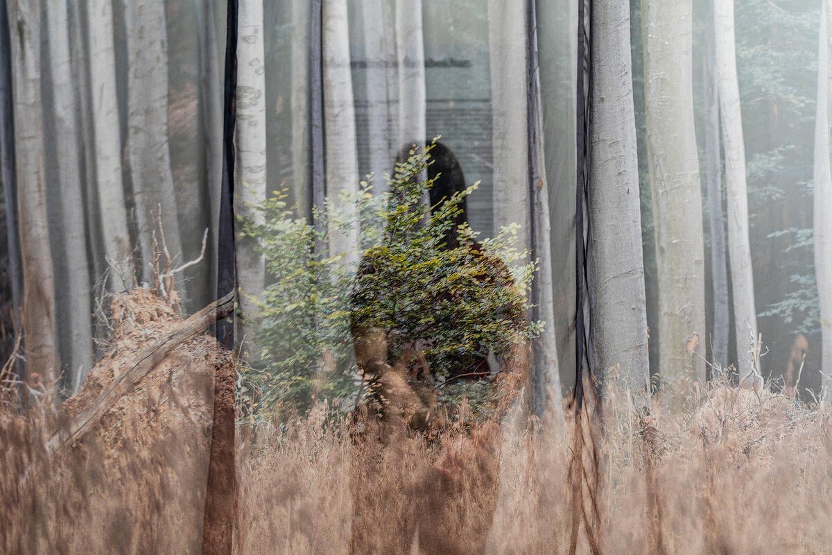 A WING építészettörténeti kiállítása nyerte az Art is Business kiemelt, „Vállalati művészeti projekt” díját