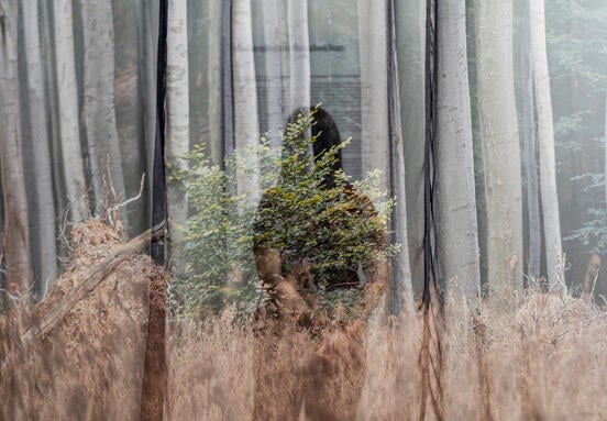 A WING építészettörténeti kiállítása nyerte az Art is Business kiemelt, „Vállalati művészeti projekt” díját