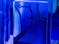 Két kategóriában nyert a WING a Property Awards versenyén