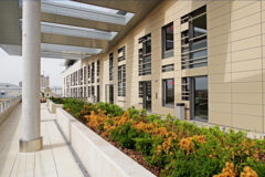 Kiadó iroda House of Business Capital Square