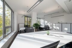 Kiadó iroda House of Business Roosevelt