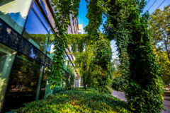 Kiadó iroda Green House